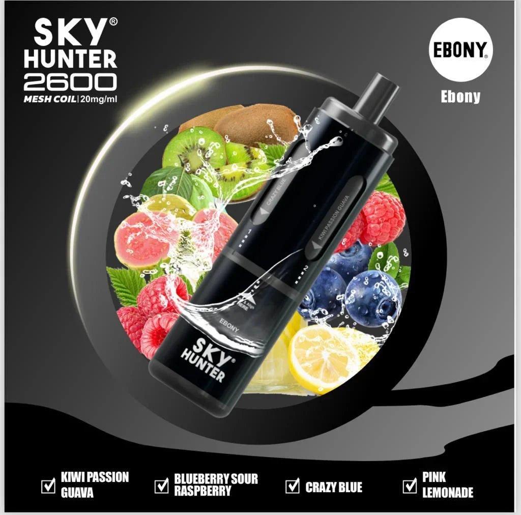 4 in 1 Sky Hunter 2600 Puffs Disposable Vape Pod Kit 20MG - Box Of 5