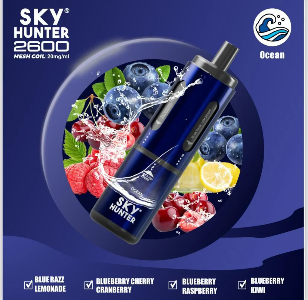 4 in 1 Sky Hunter 2600 Puffs Disposable Vape Pod Kit - 20MG